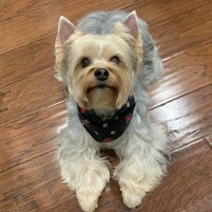 Meet your Posher, Sheralyn